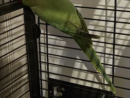 Newbie in Shropshire Uk