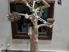 Ollie's new Java wood tree! Pics!!