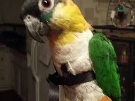 My new outfit
