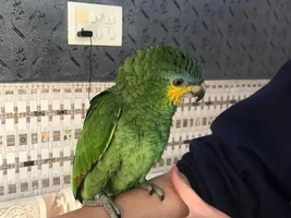 Meet Winnie!