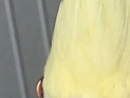 Something wrong with her nose?