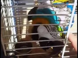 New member