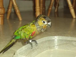 Picture of my new baby...