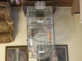Show me your cages!!!