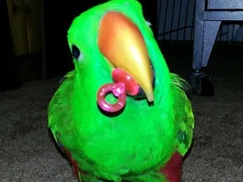 December 2023 POTM Contest!