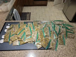New Ekkie chop day!