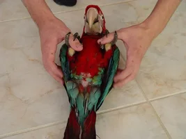 Help with Biting