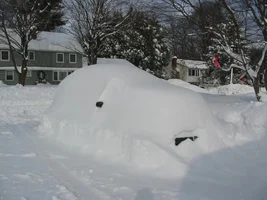 Snow in 49 of the 50 states...