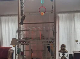 Sudden Destructive Behavior - Ideas?