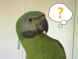 Bodylanguage?