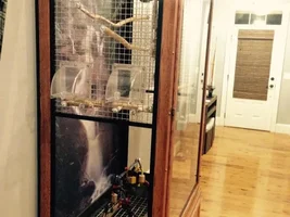 Beautiful majestic bird cage for sale!