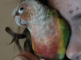 1 year update of my precious baby Toby