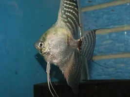 new here.