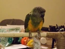 Pics of Jake