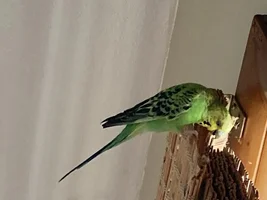 January Photo of the Month Contest !