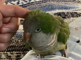 All about the scratchies!