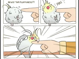 The best Bird meme!!