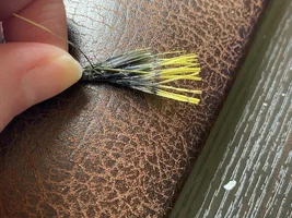 Nico’s Thread 😊