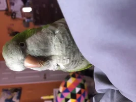 Adjusting is hard, but I'll always love you