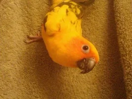 Hello Everyone!