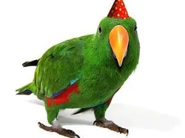 Happy Birthday chris-md!!!