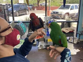 September POTM Contest!!