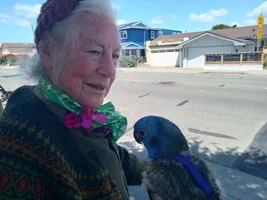 My baby budgie just died