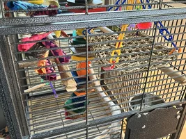 My babies!