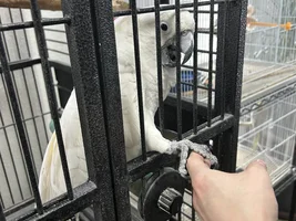 Flock Thread Volume 2