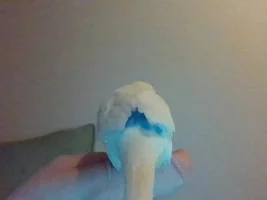 New Parakeet Owner