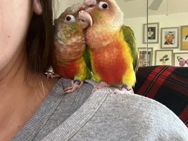 My babies!