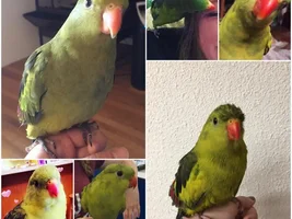 Happy 1st Hatch Day Lil Pete!!!