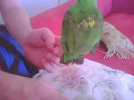 New Member please assist