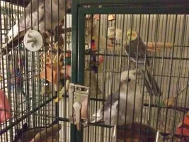 Domnijoe - The Art Studio and Bird Herder's Residence