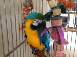 Please help! Questions about Nanday