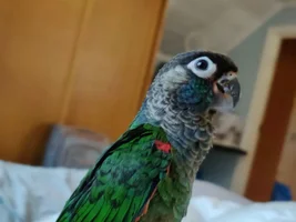 Confused about first visit to the vet
