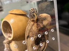 Flock Thread Volume 2