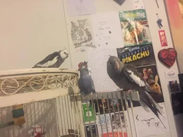 New to the forum