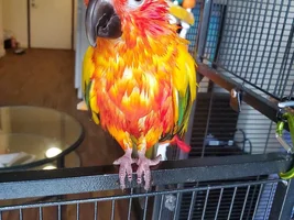 October 2023 POTM Contest!