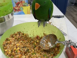 Chop Quality Control