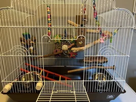 Recommendations for brining Ona home