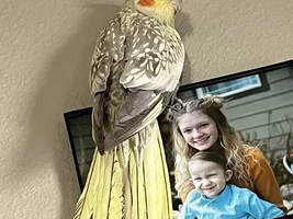 Help identify gender