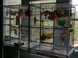 Show me your cages!!!