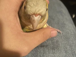 Please help!