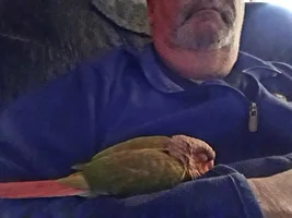 OK...So I'm A Proud Daddy!
