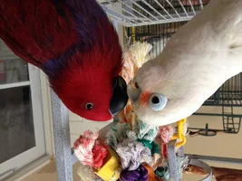 Ekkie friends?