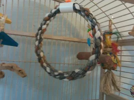 Please show off your cage!