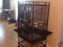 Cage Pics!