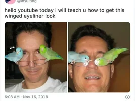 The best Bird meme!!