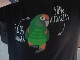 Funny parrot shirt (customized)